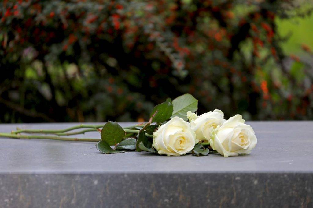 White roses laid by grave